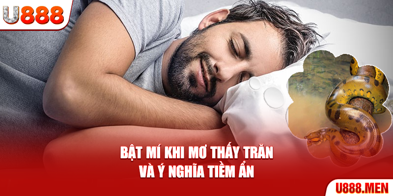 Bật mí khi mơ thấy trăn và ý nghĩa tiềm ẩn