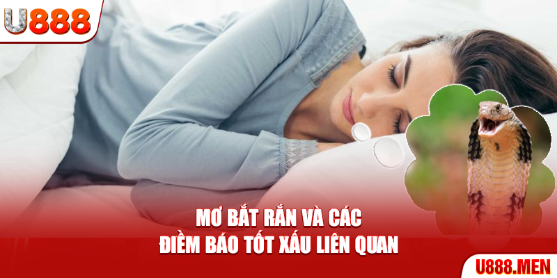Mơ bắt rắn và các điềm báo tốt xấu liên quan