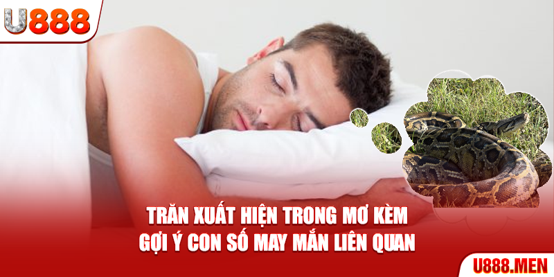 Trăn xuất hiện trong mơ kèm gợi ý con số may mắn liên quan